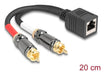 EAN 4043619881727 - DeLOCK 88172 cable de audio 0,2 m RJ-45 2 x RCA Negro imagen 1