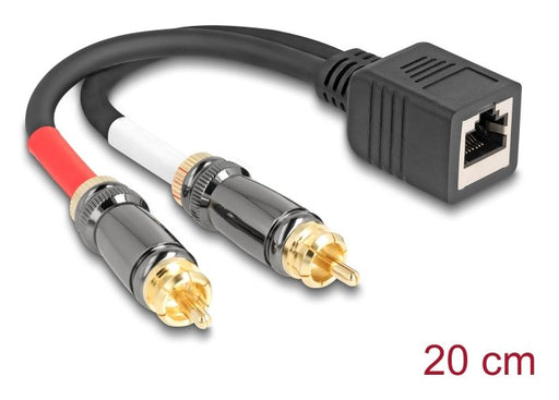EAN 4043619881727 - DeLOCK 88172 cable de audio 0,2 m RJ-45 2 x RCA Negro imagen 1