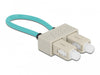 EAN 4043619869237 - DeLOCK 86923 Cable de fibra óptica e InfiniBand 0,065 m OFC imagen 1
