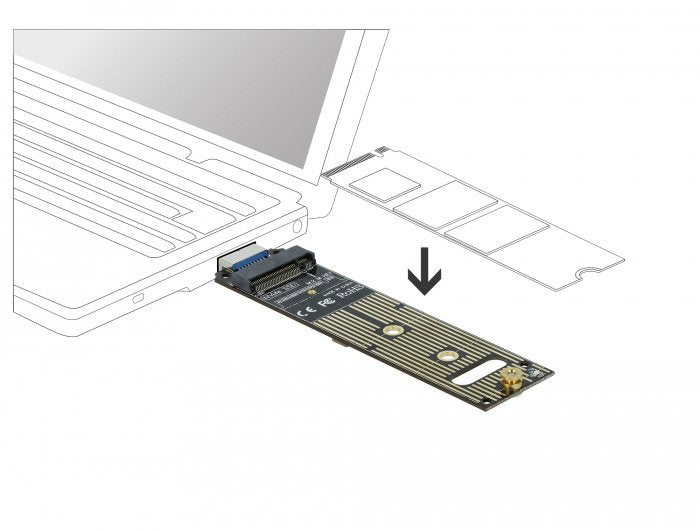 EAN 4043619640690 - DeLOCK 64069 tarjeta y adaptador de interfaz Interno M.2 imagen 2