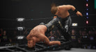 EAN 9120080078407 - THQ Nordic AEW: Fight Forever imagen 1
