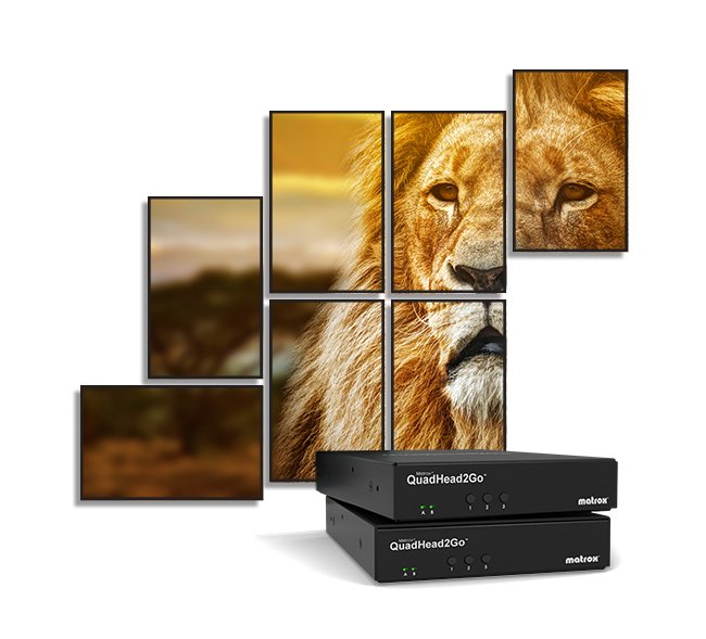 EAN 790750256511 - Matrox Q2G-H4K procesador de pared de vídeo Negro imagen 6