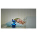 EAN 3380743102146 - Lexibook Disney Stitch NS01D luz nocturna para bebés Independiente Azul LED imagen 3