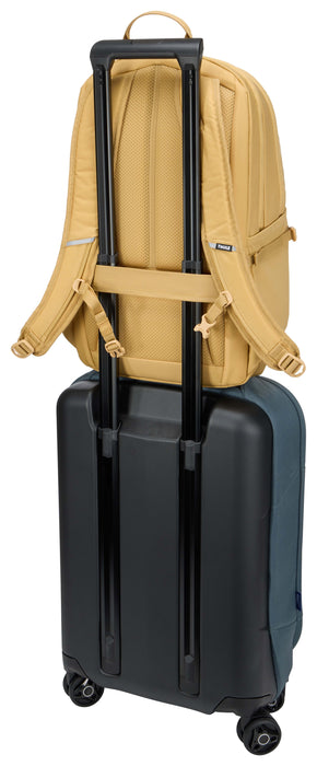 EAN 85854260497 - Thule EnRoute TEBP5216 - Pale Yellow mochila Mochila informal Amarillo Nylon imagen 9