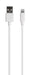 EAN 8718182276572 - Xtorm CE002 cable de teléfono móvil Blanco 1 m USB A Lightning imagen 1