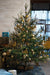 EAN 4011972950213 - Krinner 95021 base para árbol de navidad imagen 4