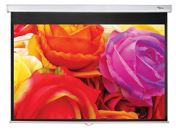 EAN 5060059048519 - Optoma DS-1123PMG+ pantalla de proyección 3,12 m (123") 16:10 imagen 1