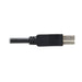 EAN 37332260277 - Tripp Lite U328F-20M cable USB USB 3.2 Gen 1 (3.1 Gen 1) USB A USB B 5 Gbit/s Negro imagen 5
