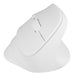 EAN 5901969445725 - NATEC Crake 2 ratón Universal mano derecha RF Wireless + Bluetooth Óptico 2400 DPI imagen 9