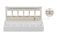 EAN 4016032485537 - Digitus DN-93716 panel de parcheo imagen 5