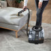 EAN 11120272314 - Bissell SpotClean Pet Plus máquina de limpieza de alfombras Seca y húmeda Negro, Transparente imagen 17