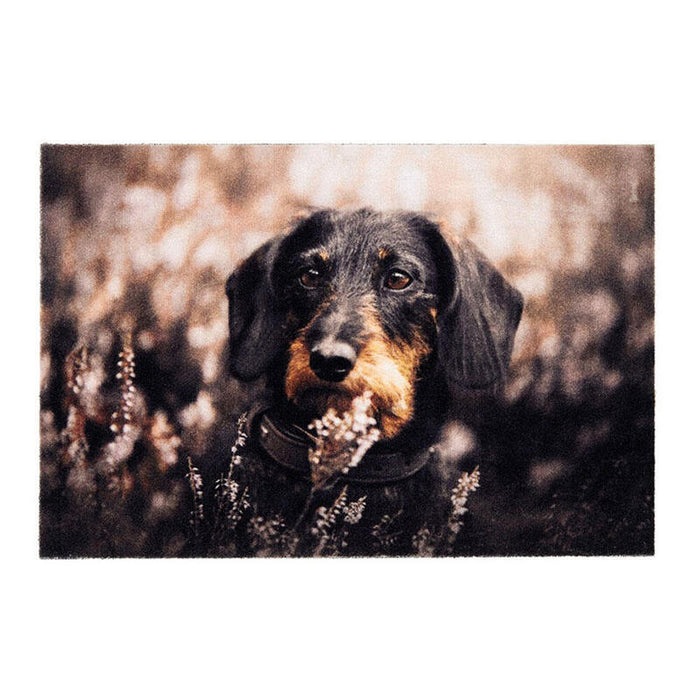 Felpudo De Interior, Deco Print, 100% Poliamida, 40 X 60cm, Diseño Perro
