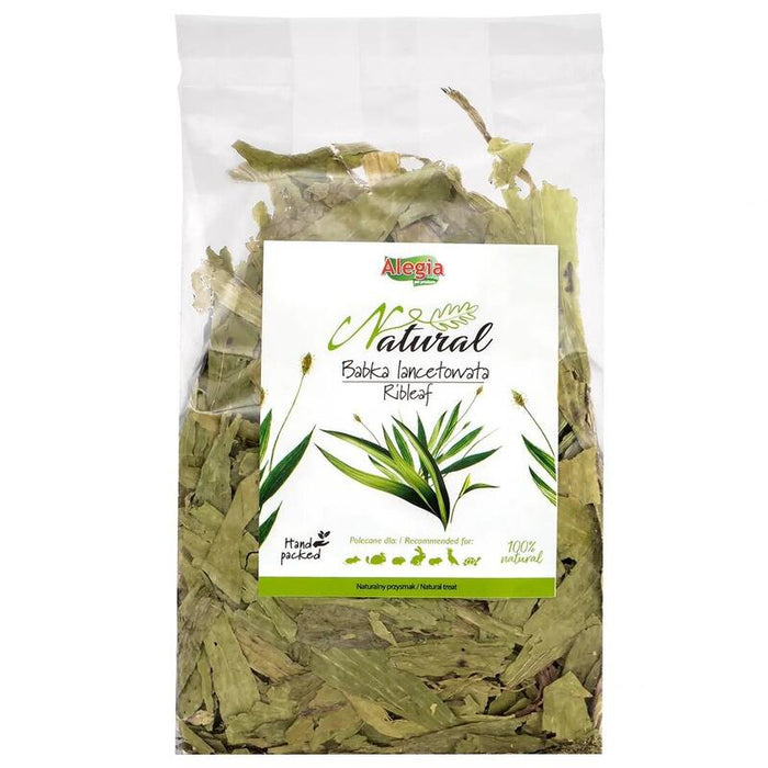 Golosina Para Roedores Y Conejos Alegia Ribleaf  300g