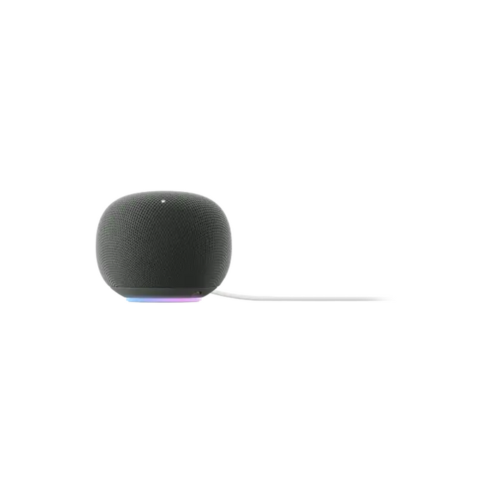 Google Home Grey