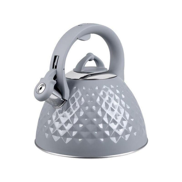 Hervidor  Tmc14g Promis 2,8 L, Marco, Gris Brillo