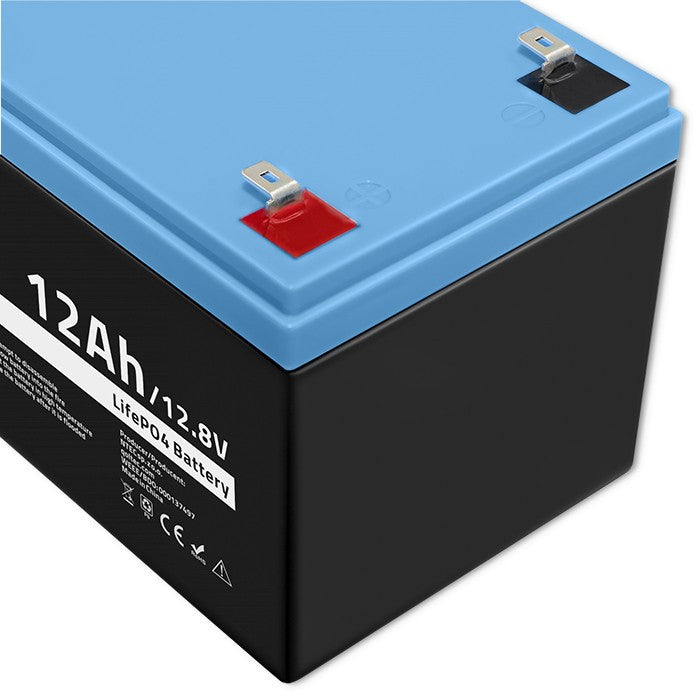 Qoltec 53701 Lifepo4 Lithium Iron Phosphate Battery 12.8v 12ah 153.6wh Bms