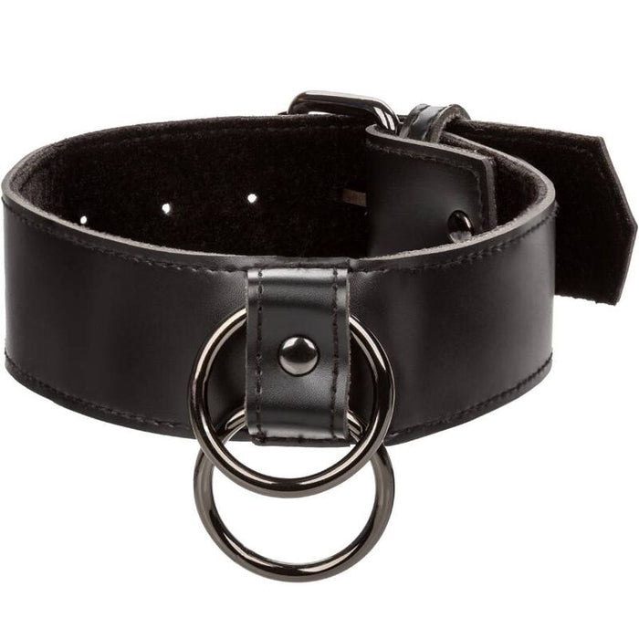 Calexotics - Euphoria Collar Con Correa De Cadena