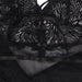 Subblime - Babydoll Con Tirantes Ajustables De Encaje Negro L/xl
