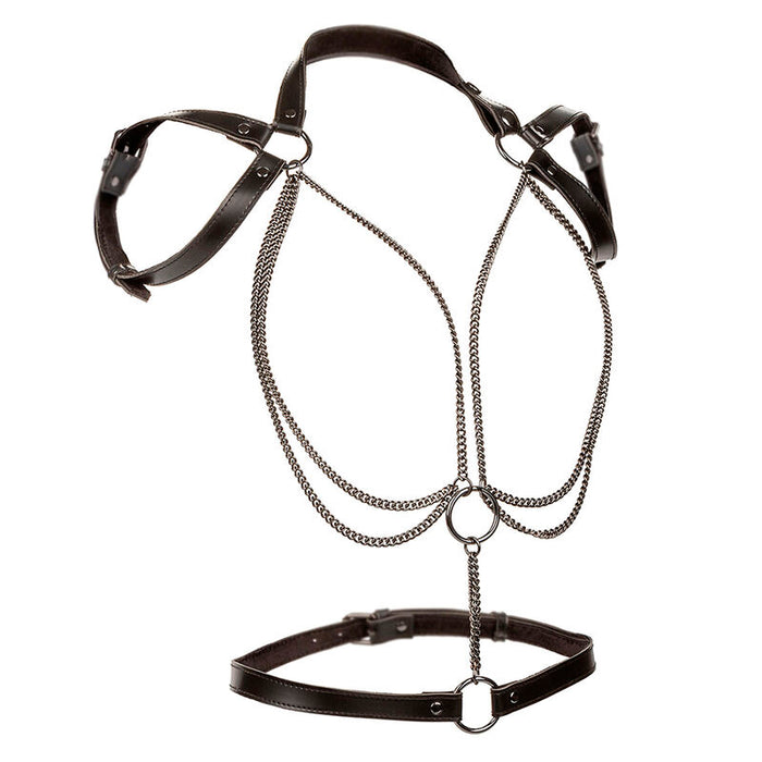 Calexotics - Euphoria Arnés Estilo Cabestro Con Múltiples Cadenas Premium Talla Plus