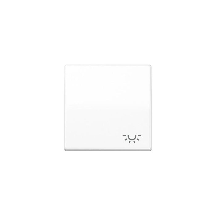Jung As 591 L Ww Wippe Mit Lichtsymbol