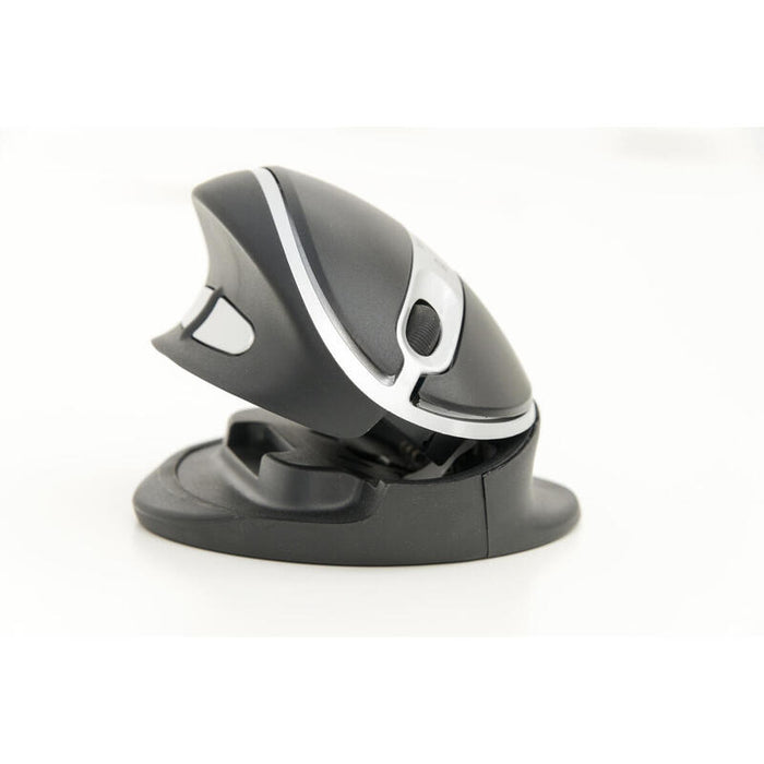 Kenson Oystermouse Wireless Ratón Rf Inalámbrico 1000 Dpi Ambidextro