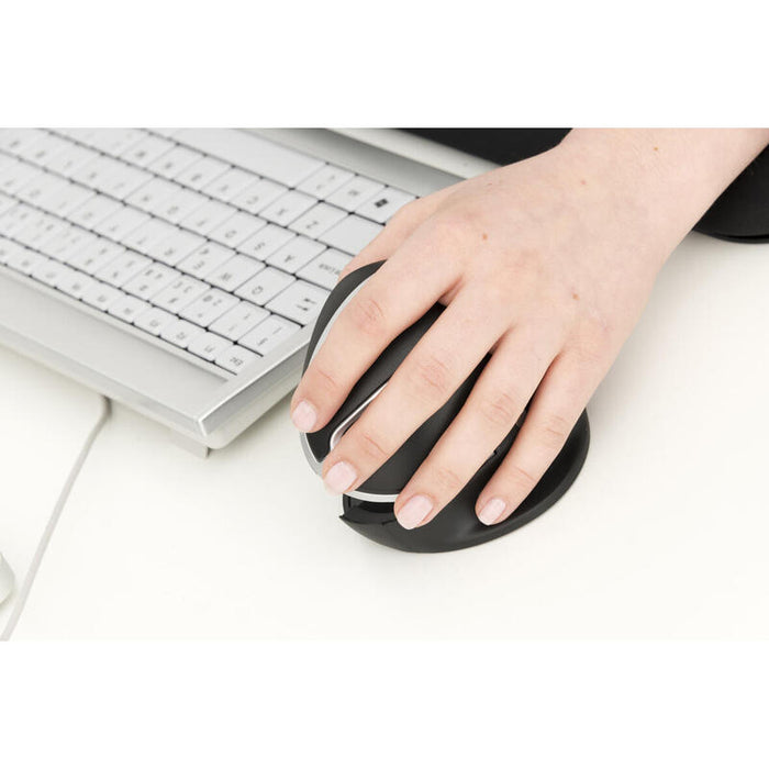 Kenson Oystermouse Wireless Ratón Rf Inalámbrico 1000 Dpi Ambidextro