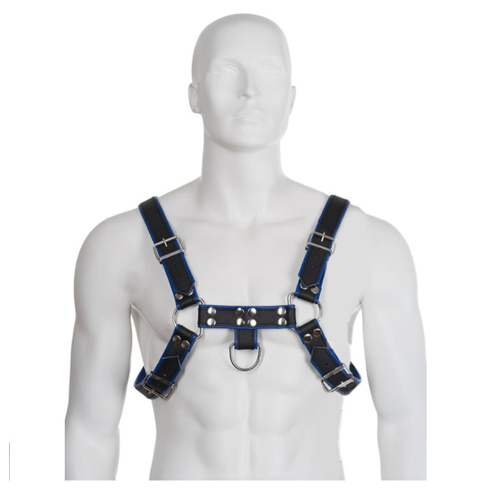 Leather Body - Arnés Cuero Azul Y Negro Chest Bulldog