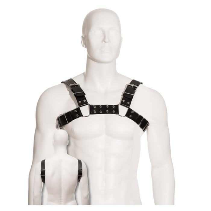 Leather Body - Black Bull Dog Harness