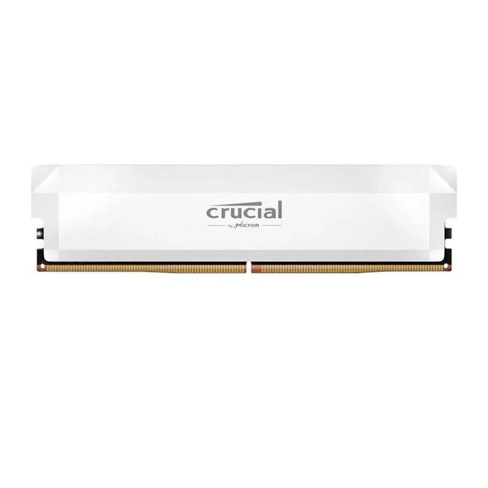 Memoria 16gb Ddr5 -6400/Cp16g64c32u5w Crucial