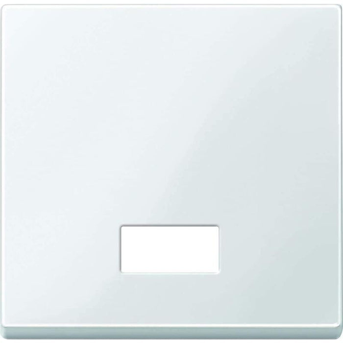 Merten 432819 Tecla Basculante Para Interruptor. Symbolfenster Pws System M