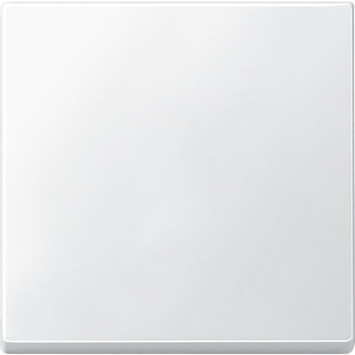 Merten 433119 Tecla Basculante Para Interruptor. Pulsador Pws System M