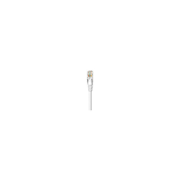 Network Cable, Cat5e, Utp  White Rj-45 Male / Rj-45