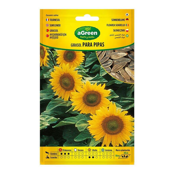 Pack De 10 Unidades - Sobre Con Semillas De Girasol Para Pipas 301024bolsh Agreen