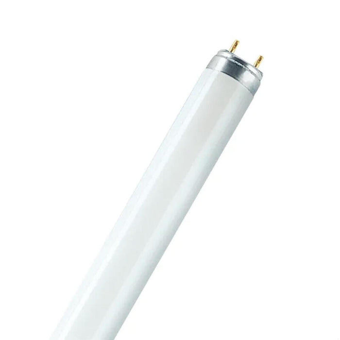 Pack De 25 Unidades - Tubo Fluorescente 58 W 6500 K 4900 Lm, Luz Fria Ø2.5 Cm X 151 Cm