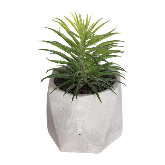 Pack De 3 Unidades - Planta Decorativa Con Maceta 7x14cm Modelos Surtidos