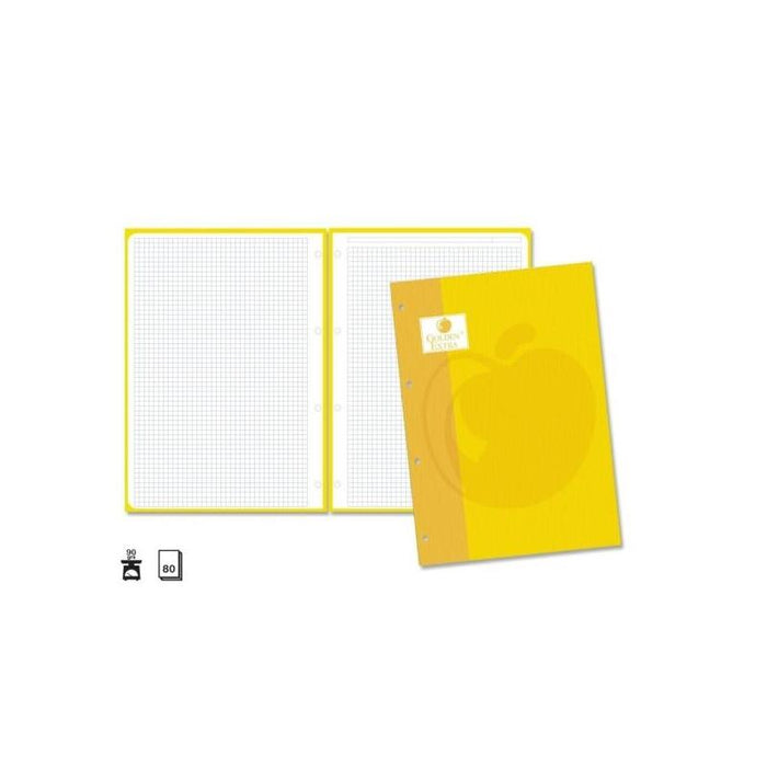 Pack De 5 Unidades Golden Extra Recambio De 80 Hojas 90gr Cuadricula 4x4 - Formato A4 - 4 Taladros Y Banda De Color