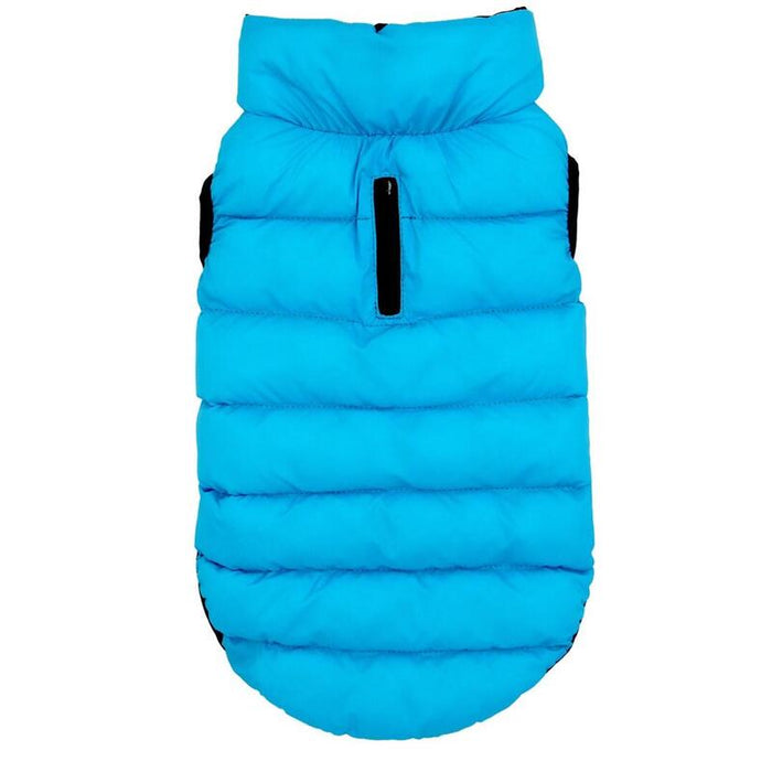 Pchelka Flora Kol.Azul-Negro Roz.S