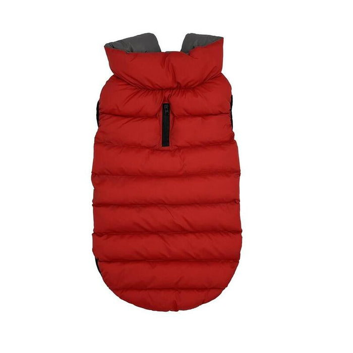 Pchelka Flora Kol.Rojo-Gris Roz.Xl
