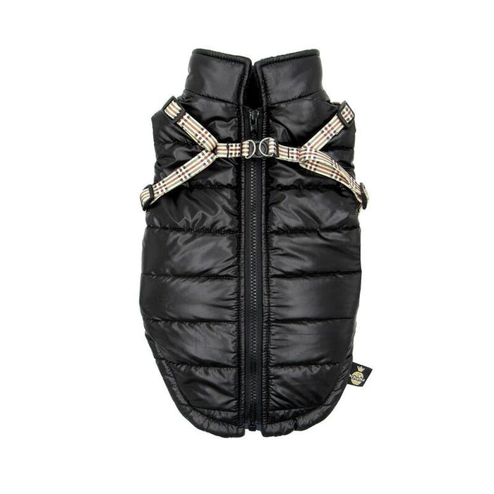 Pchelka Tobiasz Black - Ropa Para Perros - Talla S