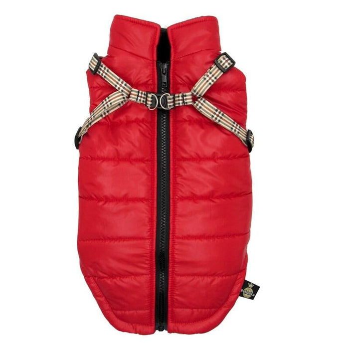 Pchelka Tobiasz Red - Ropa Para Perros - Talla S