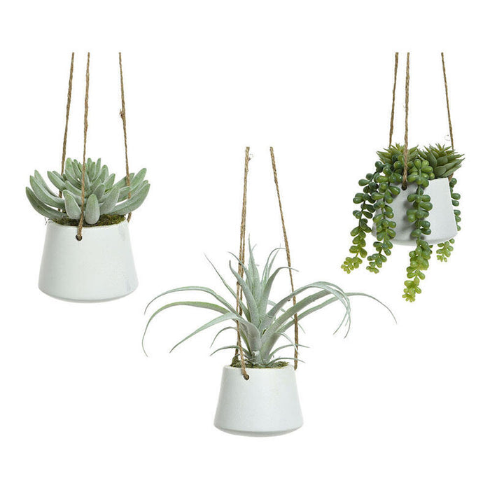 Planta Suculenta Colgante Artificial Modelos Surtidos 800073