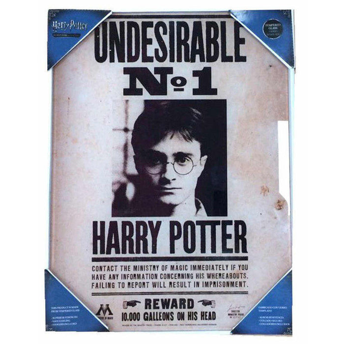 Poster Cristal Harry Potter Indeseable N1
