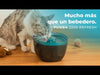 EAN 8435484095617 - Cecotec Pumba 2200 Refresh comedero y bebedero para perro y gato Plástico Negro, Azul Universal Bebedero 