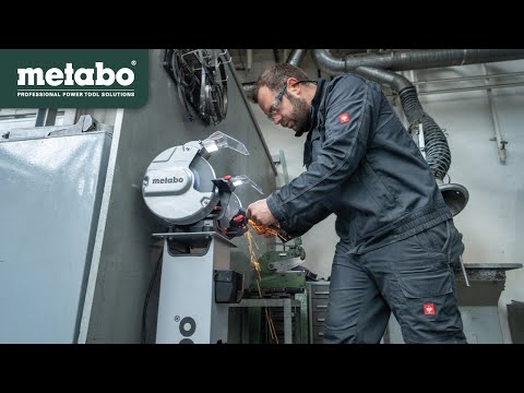 EAN 4061792226029 - Metabo DS 200 Plus amoladora de banco 2980 RPM 600 W