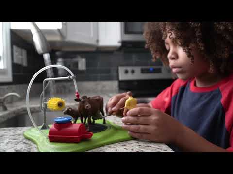 EAN 4059433416977 - schleich FARM WORLD 42529 set de juguetes