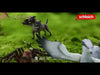 EAN 4059433713175 - schleich Harry Potter 13987 figura de juguete para niños