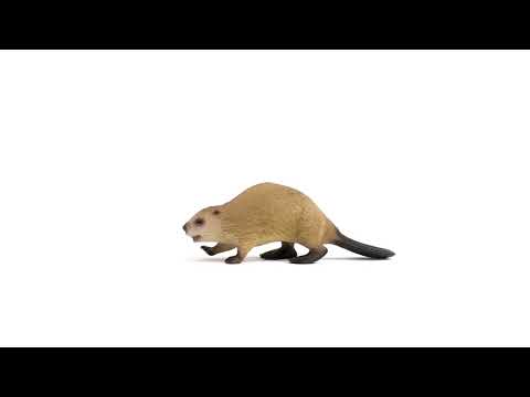 EAN 4059433364582 - schleich Vida Salvaje 14855 figura de juguete para niños