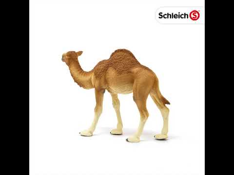 EAN 4059433039671 - schleich Vida Salvaje 14832 figura de juguete para niños