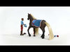 EAN 4059433574417 - schleich HORSE CLUB Sofia’s Beauties 42586 set de juguetes