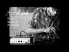 EAN 3760033531656 - Arturia MiniFuse 1 Negro